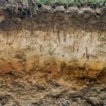 The picture shows a spade and the wall of a pit dug into the earth. The wall shows the different layers created by sedimentation over time. Source: http://www.thesubversivearchaeologist.com/2014/11/back-to-basics-stratigraphy-101.html